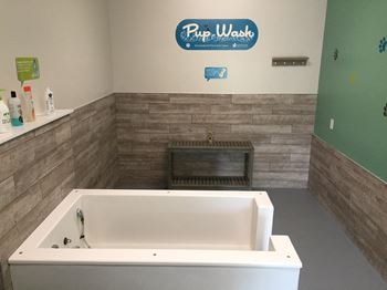 Pet wash station